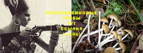 дживик Алексин